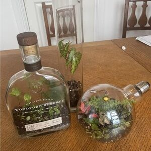 Upcycled Glass Art Terrariums
